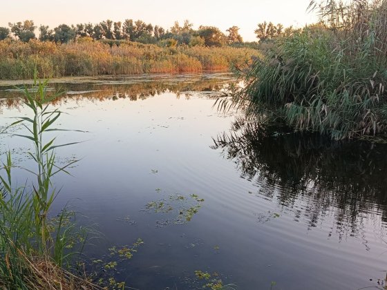 продам будинок/ лівий берег/ біля річки/ район 20-ї  лікарні Дніпро