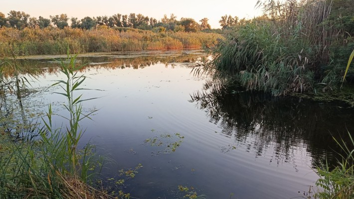 продам будинок/ лівий берег/ біля річки/ район 20-ї  лікарні - фото 1