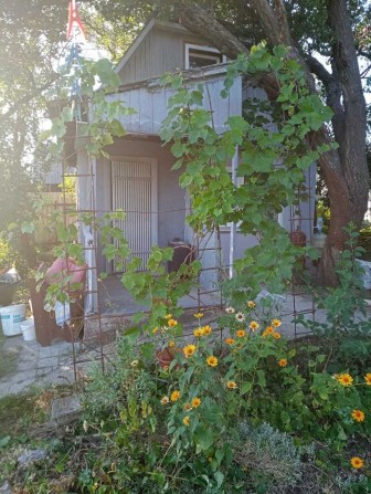 Продам будинок Кропивницкий - фото 1