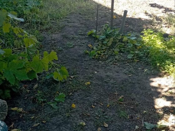 Продам дом одноэтажный Кропивницкий