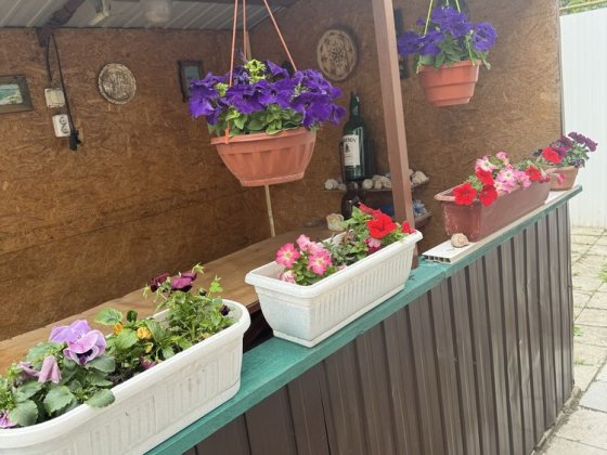 Тернівка приватний будинок 62000$.Продаж від власника , без комісії від покупця ! Миколаїв