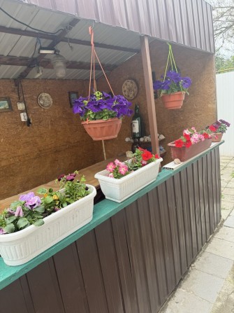 Тернівка приватний будинок 62000$.Продаж від власника , без комісії від покупця ! - фото 1