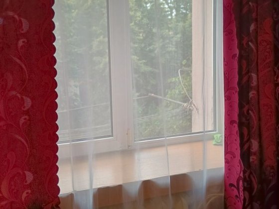 Продам велику кімнату у гуртожитку Черкаси