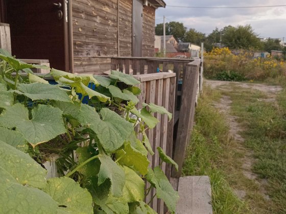 1К квартиру. Планування таунхаус. Київ. Солом-й р-н. Здам