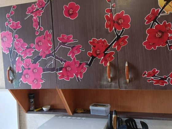 Оренда однокімнатної квартири на вокзалі Житомир