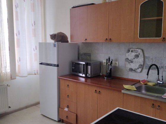 Сдам 2 ком квартиру на Марсельской Одеса
