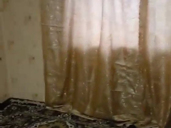 Сдам однокомнатную квартиру Великодолинське