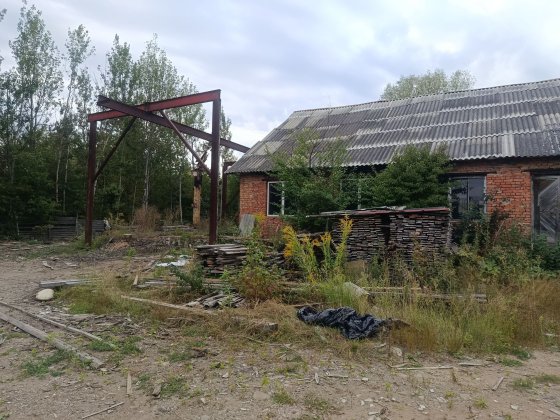 Оренда пилорами  для кругляка Богородчани