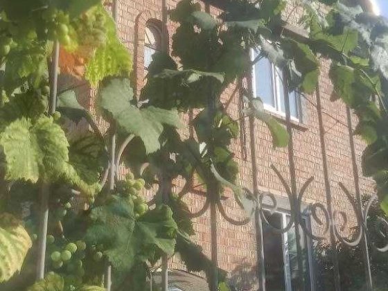 Аренда дома- Іванковічи-14 км від Києва