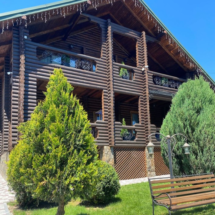 Будинок в горах з каміном на дровах - фото 1