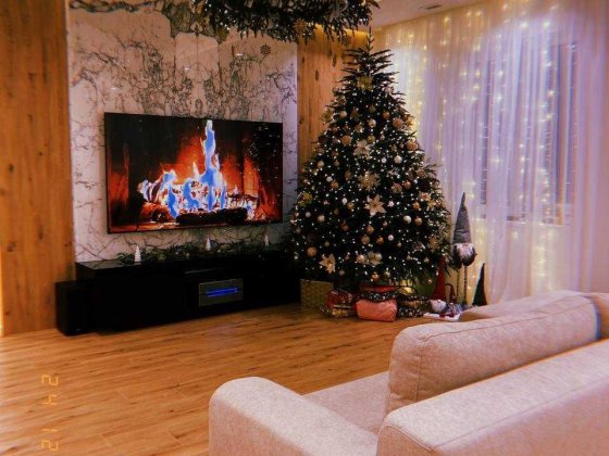 Оренда будинку 200 м², 5 спалень, 25 сотих — Великий Луг Запорожье