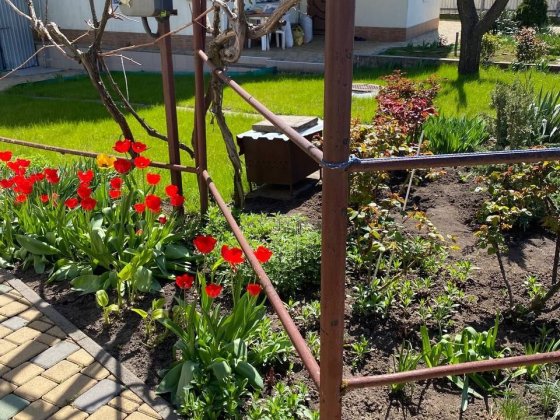 Аренда дома у моря 3 к 120 м ,сад на любой период! Киевский район! Одесса