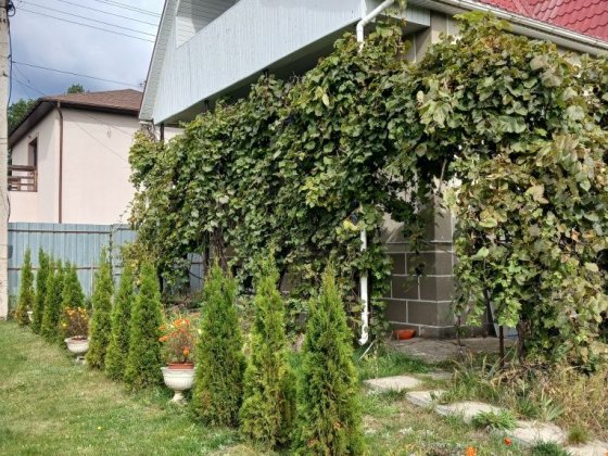 Здам кімнату у приватному маєтку Хлепча