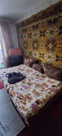 сдам для 1 чел комнату в квартире на Черемушках ул Ген Петрова(Евг. Танцюры)/Сильпо - фото 1
