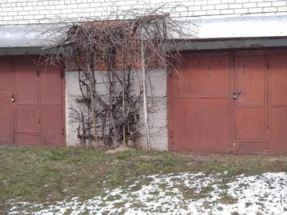 Оренда двох гаражів Сокаль
