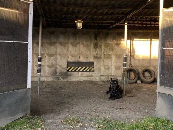 Сдам місто на критій стоянці Одеса