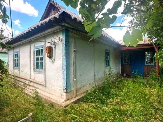 Без комісії. Продаж будинку Київська обл. с. Юрів. Ліс, річка, озеро. 46 км від Києва Киев