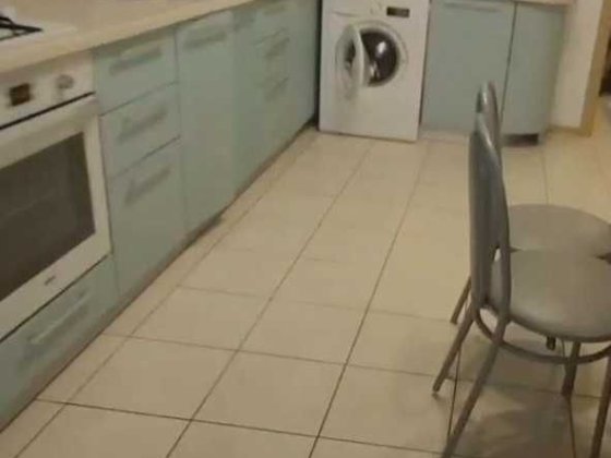 Здається трикімнатна квартира Полтава