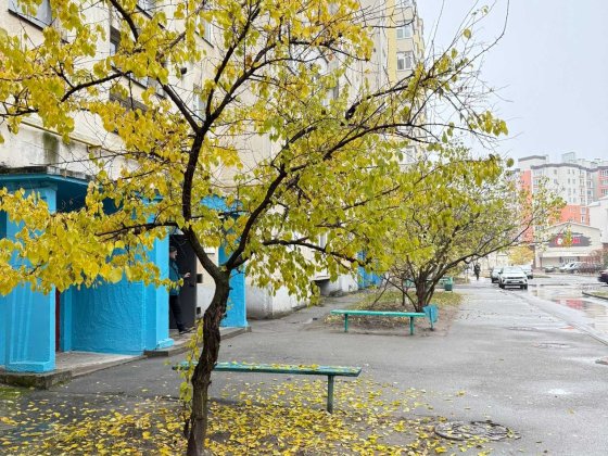 Здам в оренду 2к квартиру вул. Г. Крут