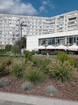 Здається 4 квартира Бородинський р-н - фото 1