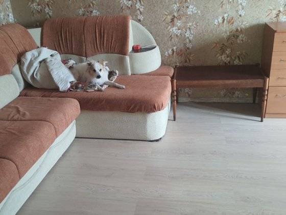 Сдам однокомнатную квартиру Запорожье