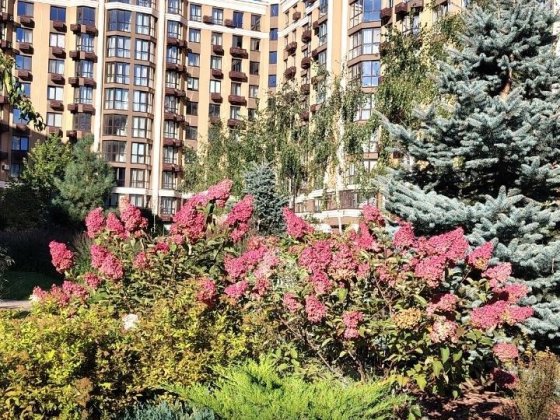 Здам в оренду 1 кімнатну квартиру ЖК Резиденція від Мартинова, Софіївська Борщагівка, вул Мартинова  Софіївська Борщагівка