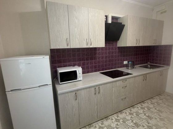 Оренда великої 1к квартири. Семʼї Стешенків,9