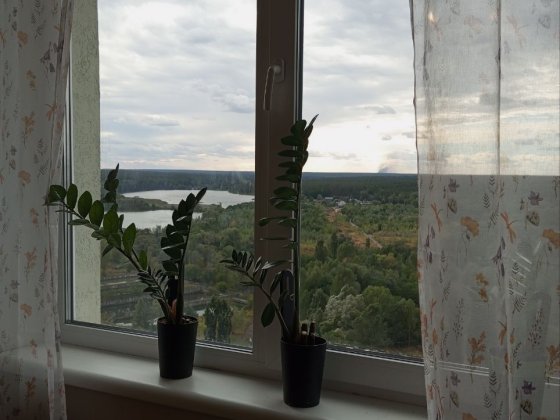 Оренди квартири ЖК Озерний Академмістечко Житомирська озеро ліс