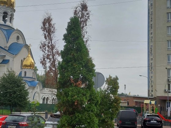 Квартира 2к Глушкова 9Г без комісії 16/25 пов м.Теремки Власник