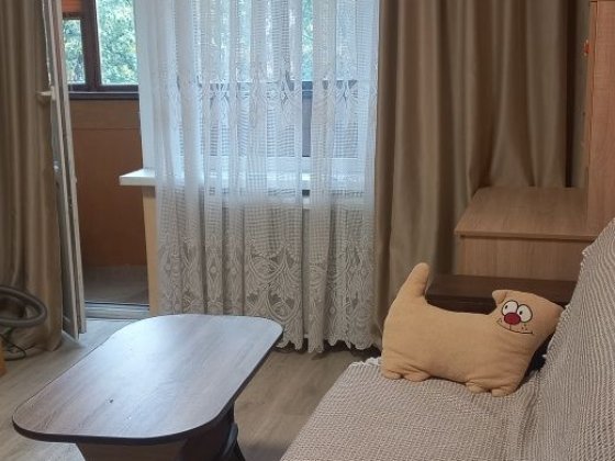Продам однокімнатну квартиру,  в Солом'янському районі,  вулиця Голего 28/32 , КАІ ( НАУ)