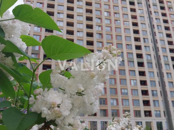 Продаж 1 кімн. квартири , пр-т Берестейский 67 , ЖК San Francisco  Creative House Без %