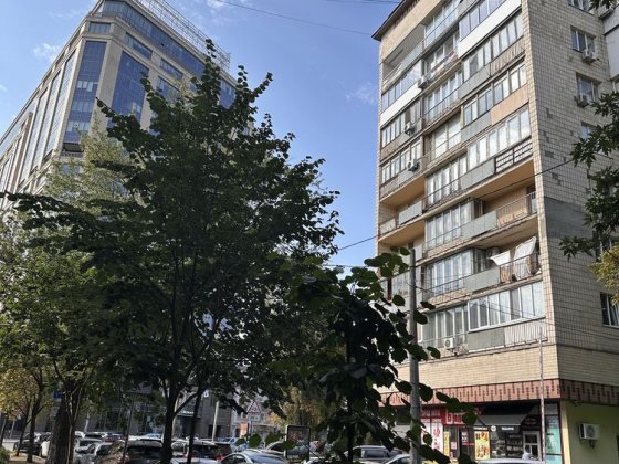 Продаж3кв 94м Центр Печерськ Вул Омеляновича-Павленко 19 Вільна 4повер Київ