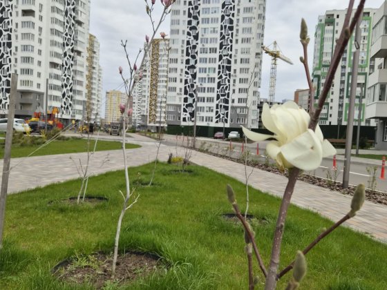 ЖК Саванна Сіті, продаж 1 к квартири 50 м² Бровары