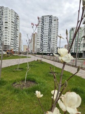 ЖК Саванна Сіті, продаж 1 к квартири 50 м² - фото 1