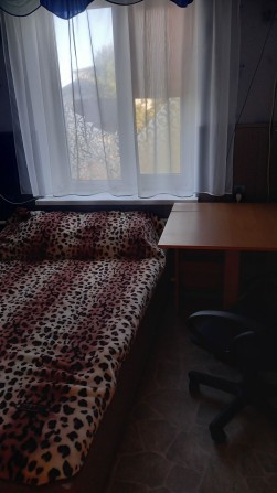 Здам кімнату в м. Глобине - фото 1