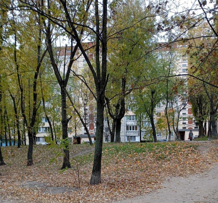 Комната на Виноградаре, рядом ТЦ ''Орнамент'', ТЦ"Ретровиль" - фото 1