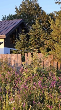 оренда будинку в Богородчанах - фото 1