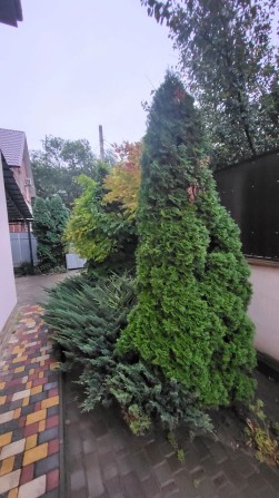 Аренда дома 120м2 на 3х сотках Лиманка - фото 1