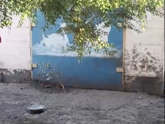 Сдам дом в Сергеевке. Терновской район