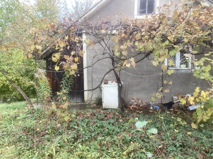 Здам в ореду дачний будинок - фото 1