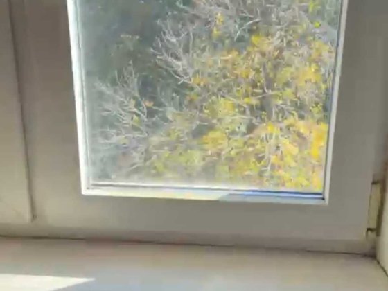 Здається 2х кімнатна в Заводському районі! Запоріжжя