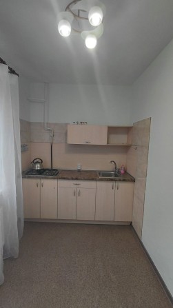 Орена 1кім.кв. вул. Велика Панасівська,232/2 - фото 1