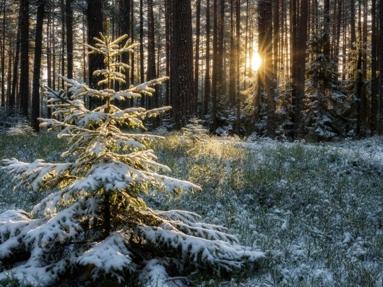 Продам ділянку на березі озера пригорд Одеси Одеса