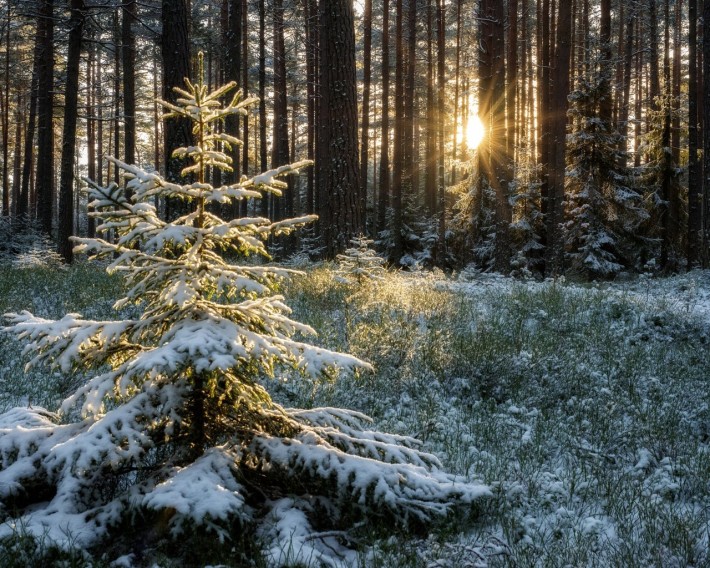 Продам ділянку на березі озера пригорд Одеси - фото 1